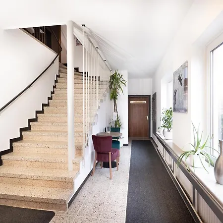 菲兹拉弗酒店 酒店 3*