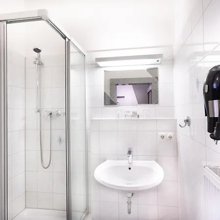 菲兹拉弗酒店 3* 新明斯特