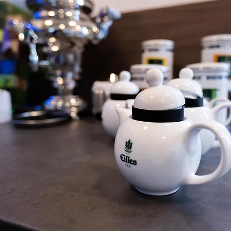 菲兹拉弗酒店 酒店 3*