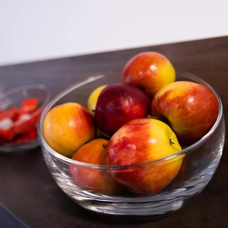 菲兹拉弗酒店 酒店 新明斯特