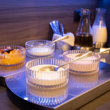 菲兹拉弗酒店 新明斯特