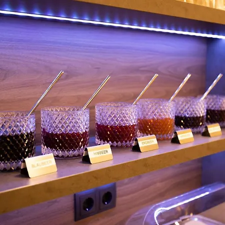 菲兹拉弗酒店 酒店 新明斯特